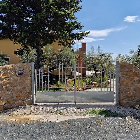 Il Panorama Leilighet Montescudaio Eksteriør bilde