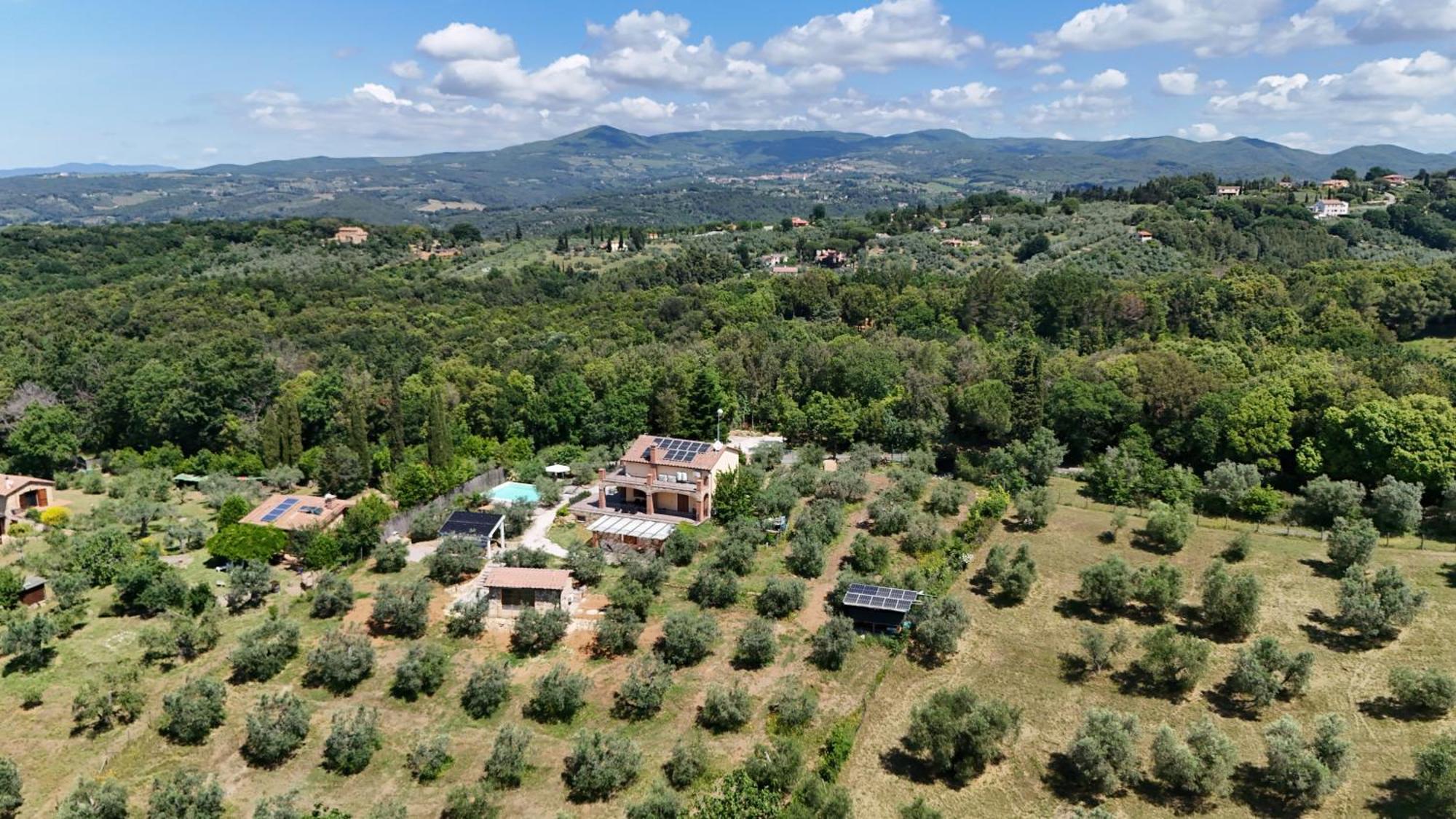 Il Panorama Leilighet Montescudaio Eksteriør bilde