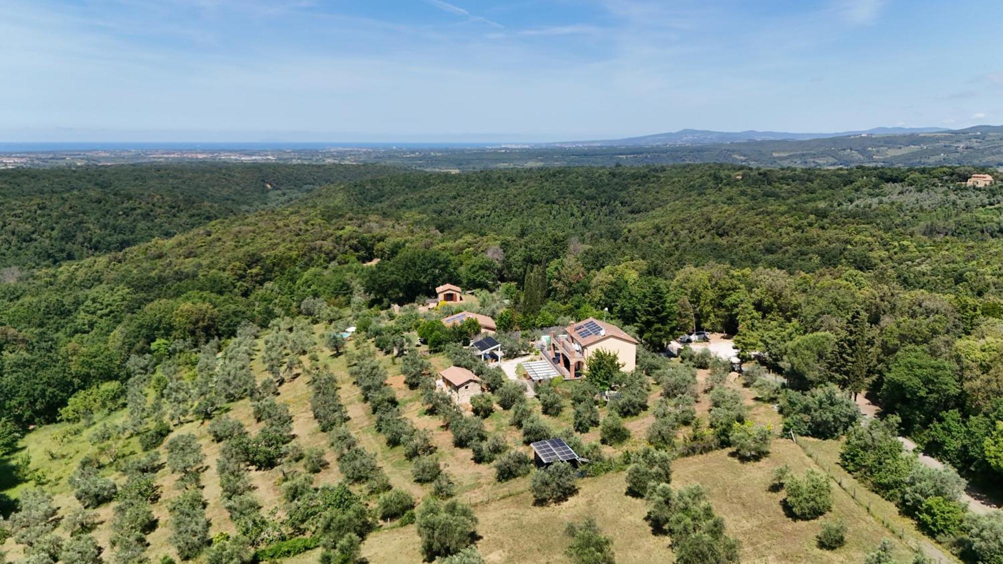 Il Panorama Leilighet Montescudaio Eksteriør bilde