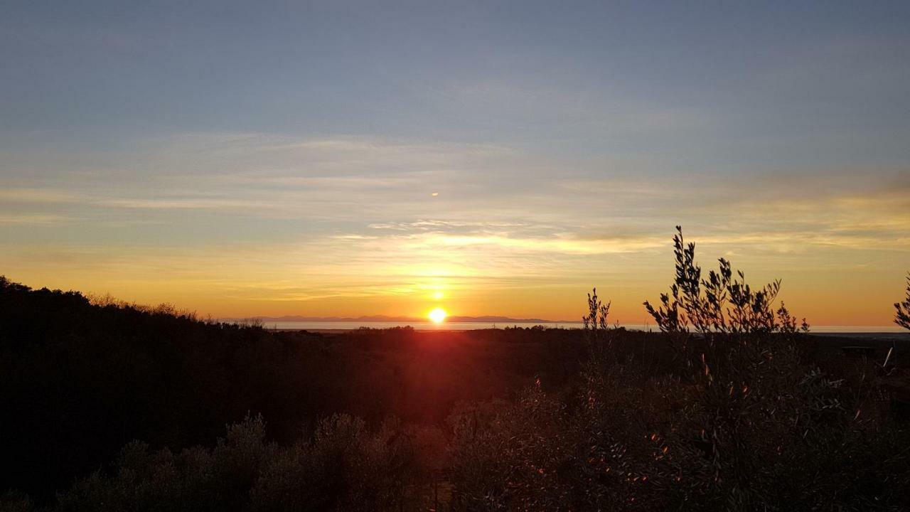 Il Panorama Leilighet Montescudaio Eksteriør bilde